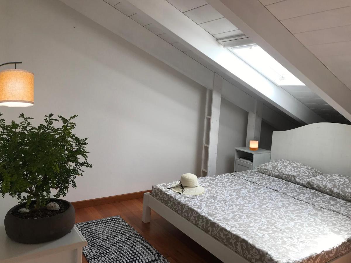 Apartment Tartaruga House